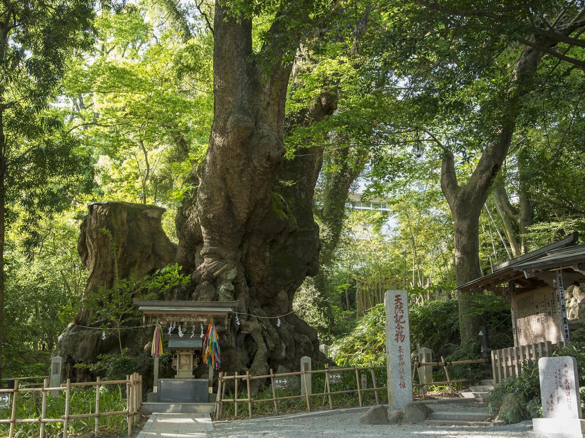 Tkp Lectore Atami Momoyama Hotel Exterior foto